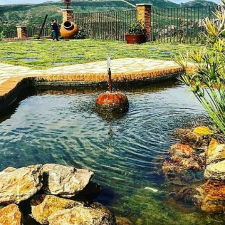 Visita a Bodega Ruiz Torres, Cata de 3 vinos y Obsequio para dos (Cáceres)