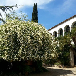 Visita a Caves Montau de Sadurní con Cata de Vinos y Botella de Vino para dos (Begues, Barcelona)