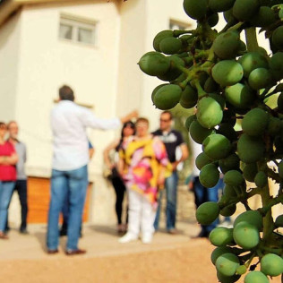 Visita a Bodega con Cata para dos en Celler Grau i Grau (Maians, Barcelona)