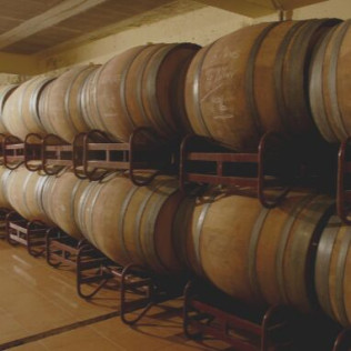 Visita a Bodega con Cata para dos en Celler Grau i Grau (Maians, Barcelona)