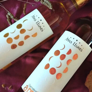 Visita Guiada a Celler Mas Llunes con Degustación de Vinos y Spa para dos (Girona)