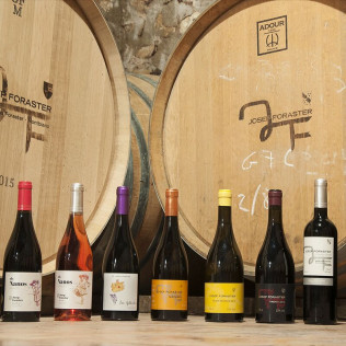Visita al Celler Mas Foraster con Cata de Vinos y Circuito Spa para dos en SPALAS Hotel Gran Palas 5* (Tarragona)
