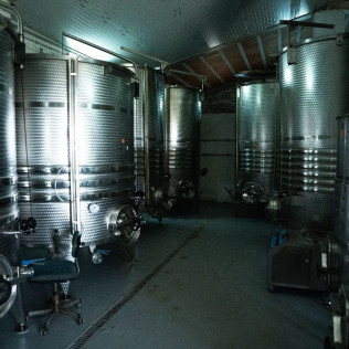 Visita a Bodega, Cata de Vinos y Comida en Celler Clot de les Soleres (Piera, Barcelona)