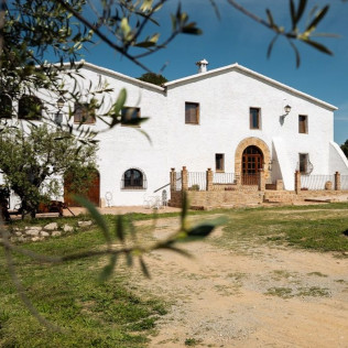 Visita a Bodega, Cata de Vinos y Comida en Celler Clot de les Soleres (Piera, Barcelona)
