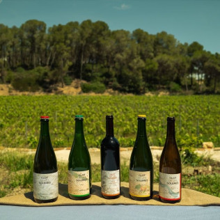 Visita a Bodega, Cata de Vinos y Comida en Celler Clot de les Soleres (Piera, Barcelona)