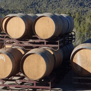 Visita a Bodega con Cata y Comida para dos en Celler Grau i Grau (Maians, Barcelona)