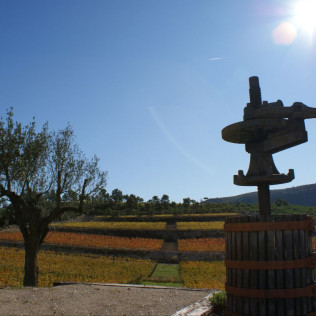 Visita a Bodega Mas Rodó y Cata de Vinos para dos en Sant Joan de Mediona (Barcelona)