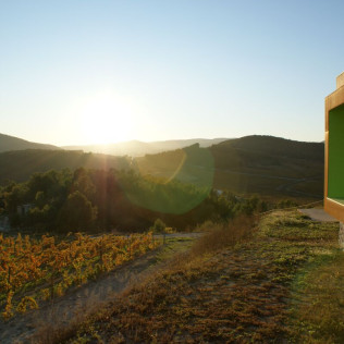 Visita a Bodega Mas Rodó y Cata de Vinos para dos en Sant Joan de Mediona (Barcelona)