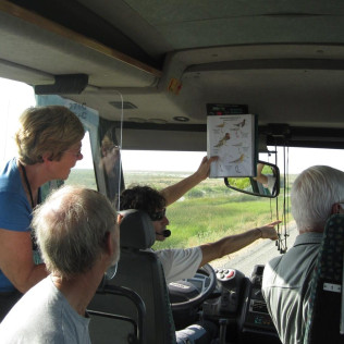 Visita Clásica al Parque Nacional de Doñana en Todoterreno (El Rocío, Huelva)