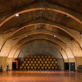 Visita Guiada y Cata de 5 Vinos con Maridaje de Quesos Artesanos en Bodegas Raimat (Lleida)