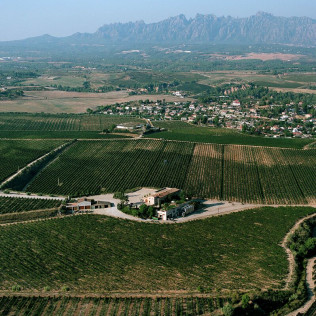 Visita a Bodega Raventós Rosell con Cata de Vinos y Cava para dos (Barcelona)