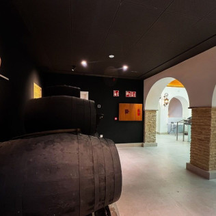 Visita Guiada a The Sherry Gallery - Centro Cultural Palacio San Dionisio con Cata de Vinos para dos (Jerez de la Frontera, Cádiz)