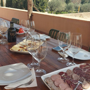 Visita a Celler Vinyes dels Aspres con Cata de Vinos y Degustación a Elegir para dos (Cantallops, Girona)