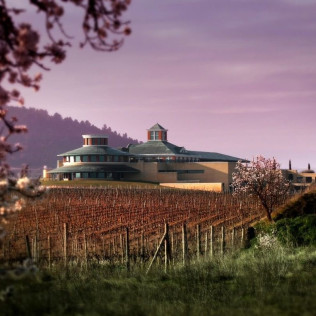 Entrada al Museo Vivanco de la Cultura del Vino en BODEGAS VIVANCO (Briones, La Rioja)