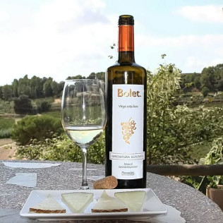 Visita, Brunch, Tapas Tradicionales y Cata de Vino y Cava en Caves Bolet (Castellví de la Marca, Barcelona)
