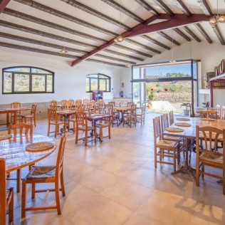 Experiencia Completa de Viticultura y Cata de Vinos para dos en Bodega Miquel J. Jané (Barcelona)