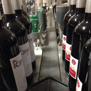 Visita a Bodega Renalterra y Cata de Vino Crianza Ribera del Duero con Aperitivo para dos (Gumiel de Izán, Burgos)
