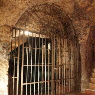 Visita a Bodega Renalterra y Cata de Vino Crianza Ribera del Duero con Aperitivo para dos (Gumiel de Izán, Burgos)