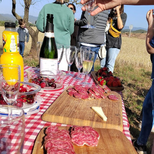 Vuelo en Globo con Cava, Aperitivo y Fotos en la Zona del Bages y Montserrat (Barcelona)