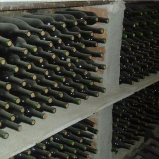 Vuelo en Globo con Fotos y Visita Guiada a la Bodega Baronia de Vilademuls con Cata de Vinos para dos (Girona)