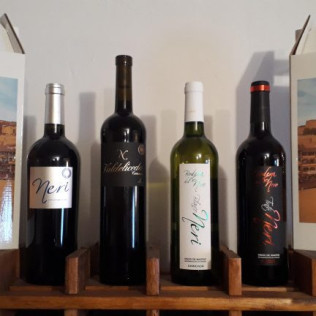 Vuelo en Globo con Fotos, Vídeo, Almuerzo y Cava y Visita a Bodega del Nero con Degustación de Vino y Queso para dos (Madrid)