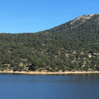 Wake Board en el Pantano de San Juan (San Martín de Valdeiglesias, Madrid)