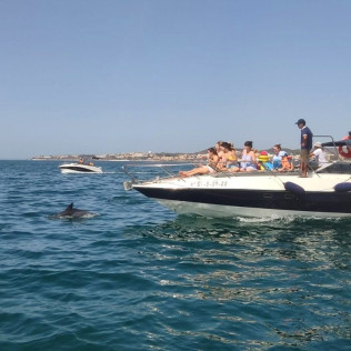 Paseo en Yate Privado al Atardecer o con Avistamiento de Delfines para dos (Fuengirola, Málaga)