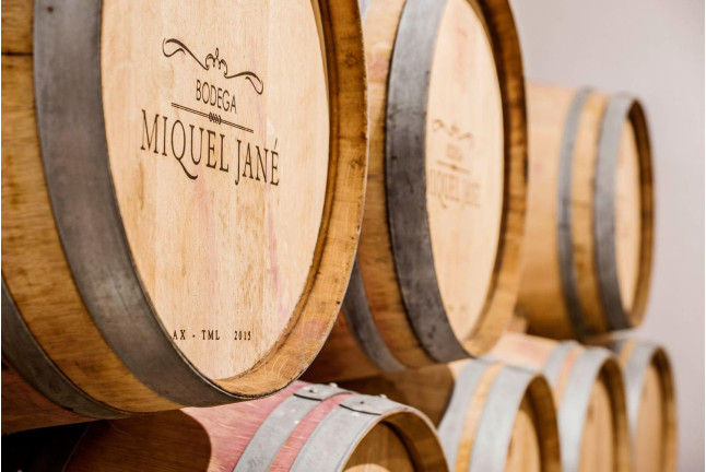 Visita-Curso de Enología y Degustación en Bodega para dos (Barcelona)