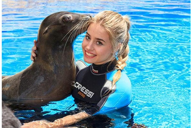 Entrada a Aqualandia y Baño con Leones Marinos (Benidorm, Alicante)