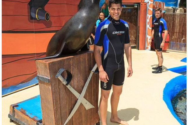 Entrada a Aqualandia y Baño con Leones Marinos (Benidorm, Alicante)