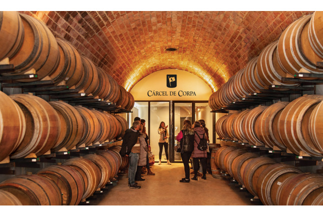 Visita guiada a los Viñedos y a las Bodegas Cárcel de Corpa con Cata comentada de 3 vinos (Requena, Valencia)