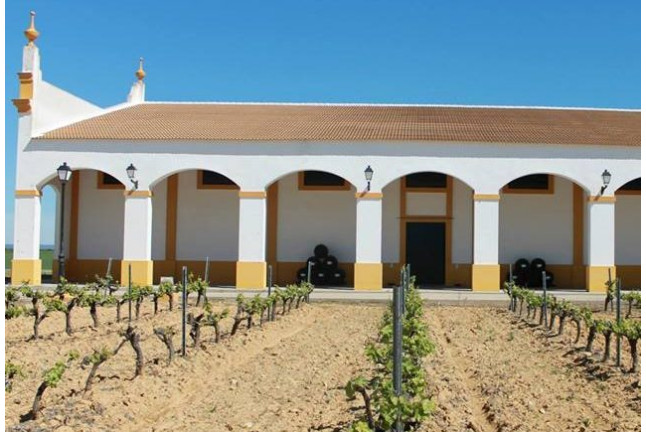 Visita a Bodega y Cata de Vinos para dos en Bodegas Marqués de Villalúa (Huelva)