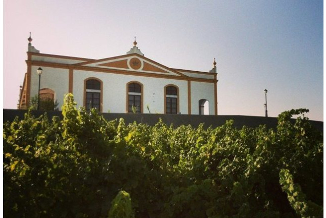 Visita a Bodega y Cata de Vinos para dos en Bodegas Marqués de Villalúa (Huelva)
