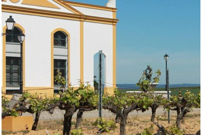 Visita a Bodega y Cata de Vinos para dos en Bodegas Marqués de Villalúa (Huelva)