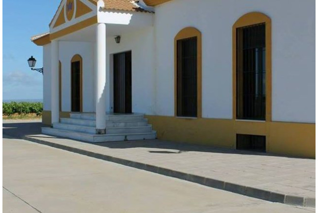 Visita a Bodega y Cata de Vinos para dos en Bodegas Marqués de Villalúa (Huelva)