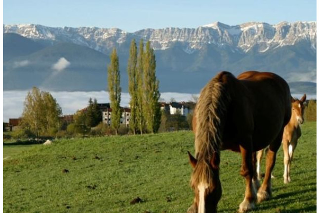Escapada con Cena en el Pirineo Catalán, Lleida | Aladinia