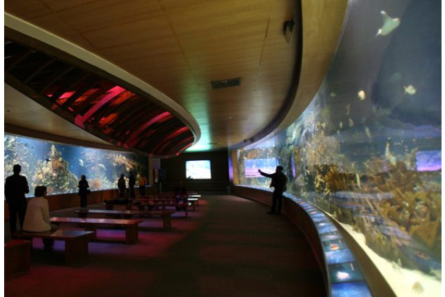 Entrada al Oceanogràfic y al Museo de las Ciencias Príncipe Felipe (Valencia)
