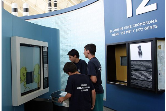 Entrada al Oceanogràfic y al Museo de las Ciencias Príncipe Felipe (Valencia)