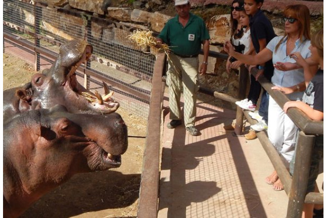 Visita VIP Obama con Almuerzo en Selwo Aventura (Málaga)