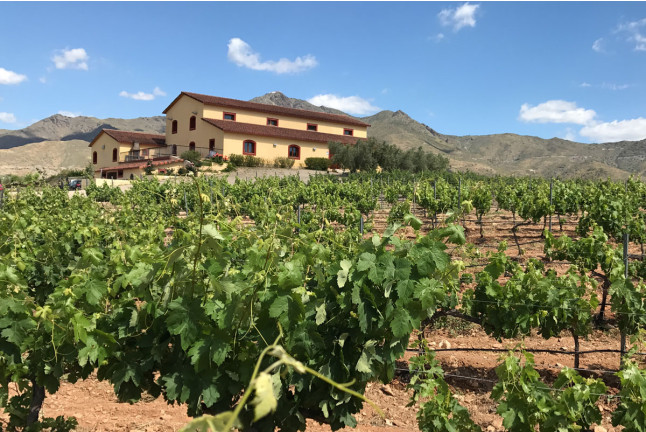 Visita a Bodegas Perfer con Cata de Vinos y Aperitivo para dos (Uleila del Campo, Almería)