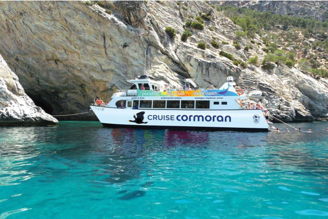 Paradise: Paseo en Catamarán, con Baño y Comida por Puerto Andratx (Mallorca)