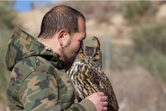 Descubre a las Aves Rapaces y Vuela a un Águila (Guadalajara)