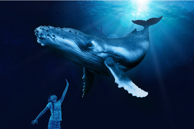 Palma Aquarium con opción a 3D Cinema Aquadome (Palma de Mallorca)