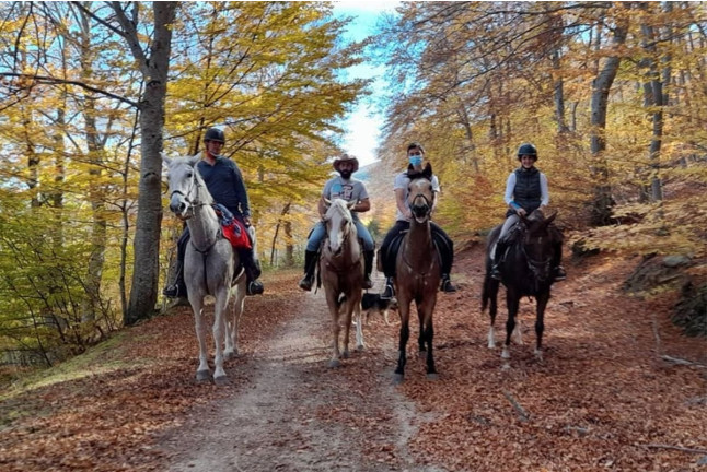 Paseo a Caballo (Zaragoza)
