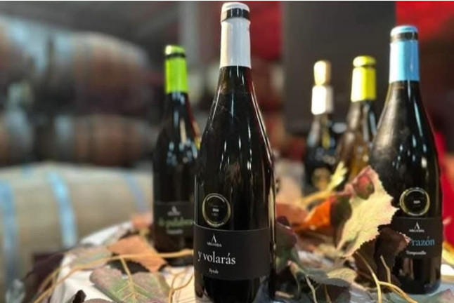 Visita a Bodega Vinícola de Arganda y Degustación de Vinos con Maridaje para dos (Arganda del Rey, Madrid)