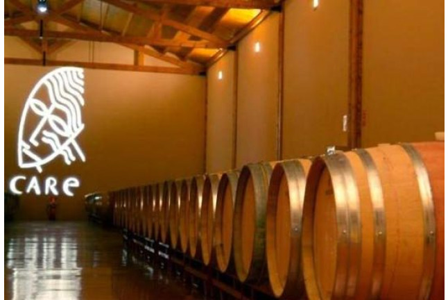Escapada con Spa en Hotel Real Ciudad de Zaragoza 4* y Visita a Bodega con Cata para dos (Zaragoza)