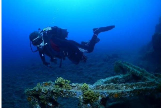 Curso de Buceo Open Water Diver (Tenerife)