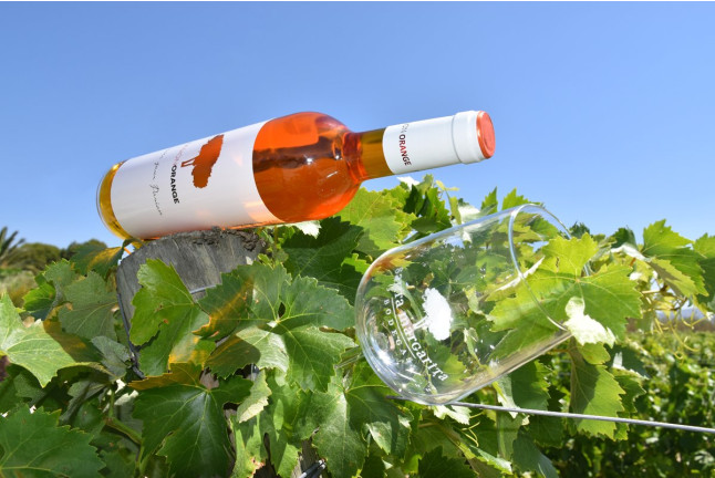 Visita Guiada a Bodegas Santa Margarita con Cata de Vinos y Degustación de Embutidos para dos (Caudete, Albacete)