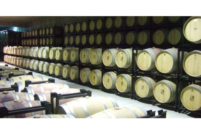 Visita a Bodegas Zifar y Cata para dos (Valladolid)