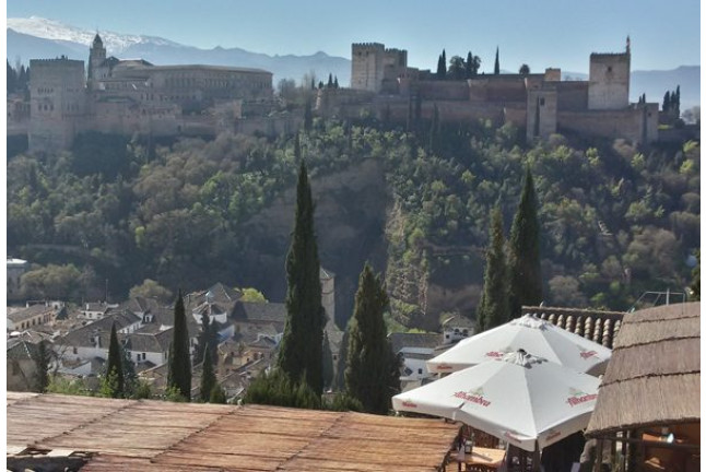 Ruta en Segway (Granada)